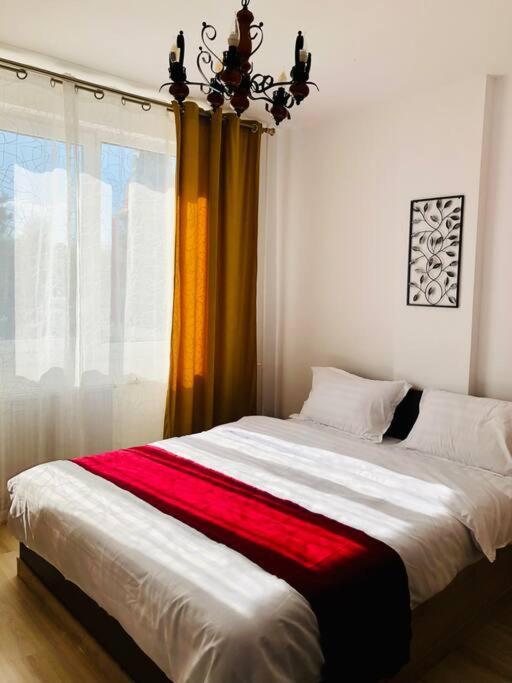 Joy City Stay Victoriei 7G-9 Timisoara Exterior photo