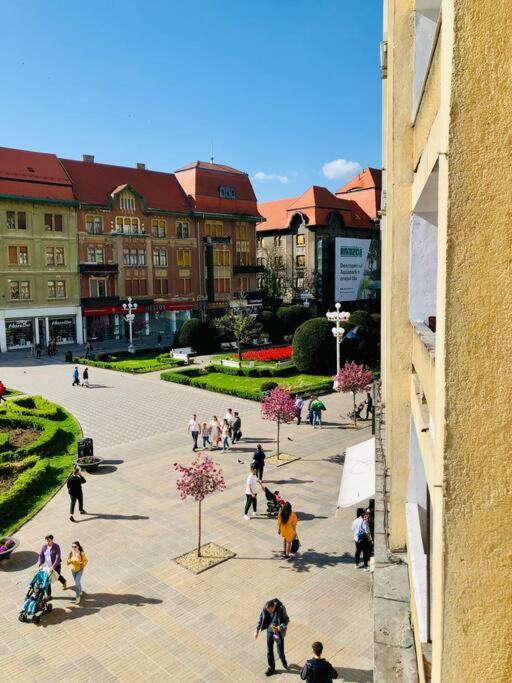 Joy City Stay Victoriei 7G-9 Timisoara Exterior photo