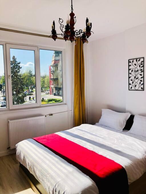 Joy City Stay Victoriei 7G-9 Timisoara Exterior photo